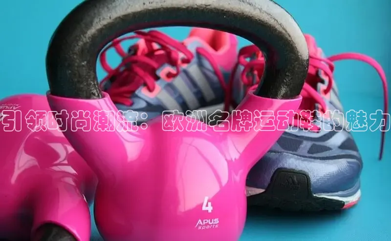 意昂意昂体育入口百度学术引领时尚潮流：欧洲名牌运动鞋的魅力