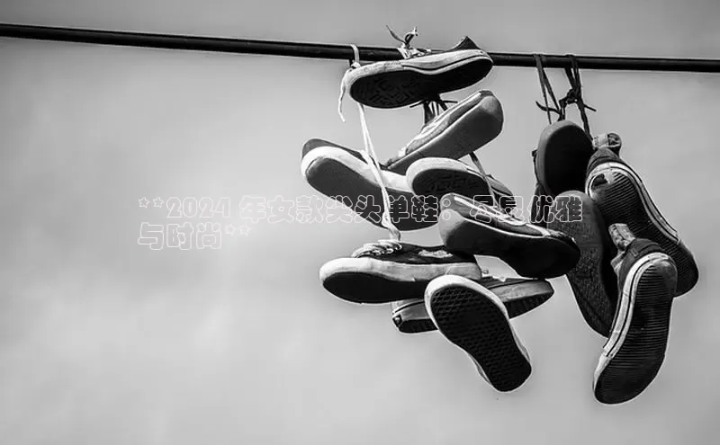 意昂体育平台APP巴美列捷福**2024 年女款尖头单鞋：尽显优雅
与时尚**