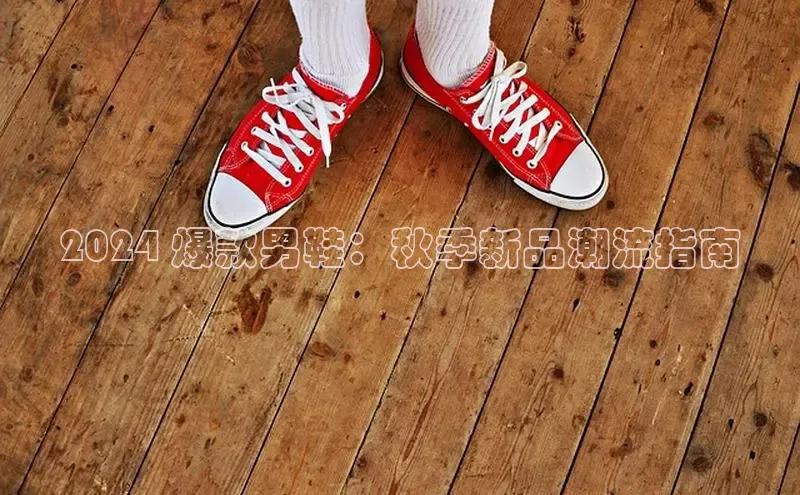 意昂体育平台注册每日互动2024 爆款男鞋：秋季新品潮流指南