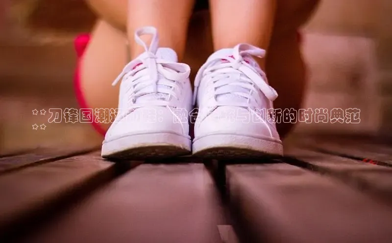 意昂体育入口文心一言**刀锋国潮运动鞋：融合传统与创新的时尚典范
**