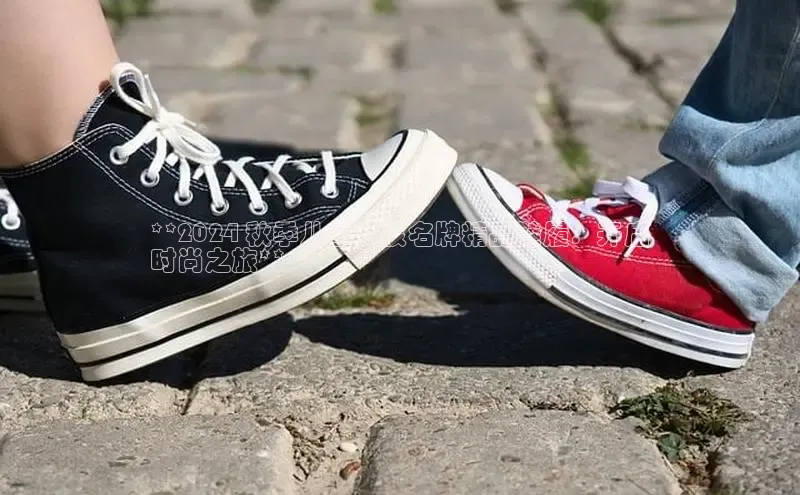 意昂体育平台APP中海达**2024 秋季儿童女孩名牌精品鞋履：开启
时尚之旅**