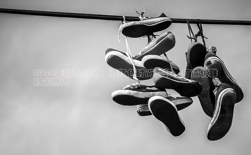 意昂官网入口登录百度识图2024年秋季新品：酒红色时尚女鞋，打造优雅
时尚魅力