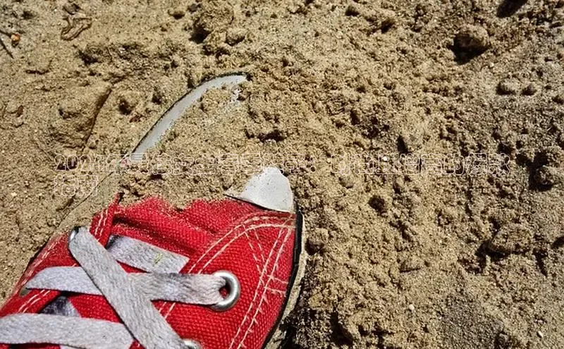 意昂2登录入口百度网盘2024年最佳女士春季鞋子：时尚且增高的爆款
指南