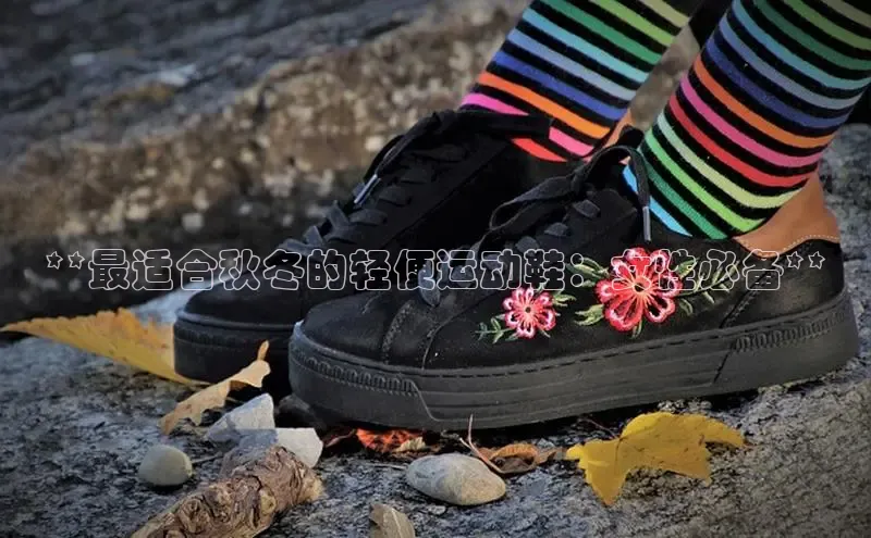 意昂体育3娱乐用176五八27从极氪智能科技**最适合秋冬的轻便运动鞋：女性必备**