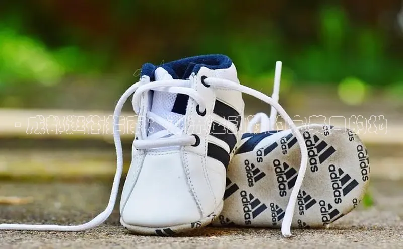 意昂体育官网入口京东- 成都逛街指南：潮流运动鞋的完美目的地