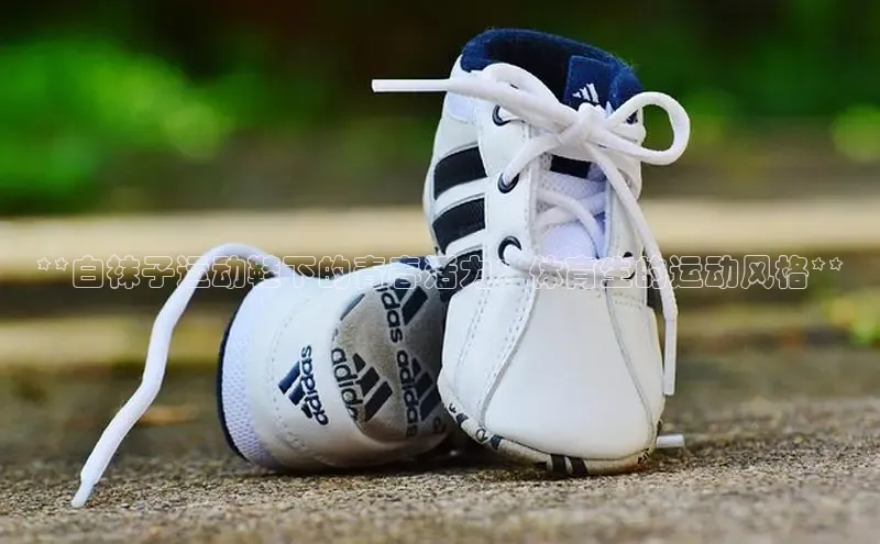 意昂体育台孩176五八27员颐驰 06**白袜子运动鞋下的青春活力：体育生的运动风格**