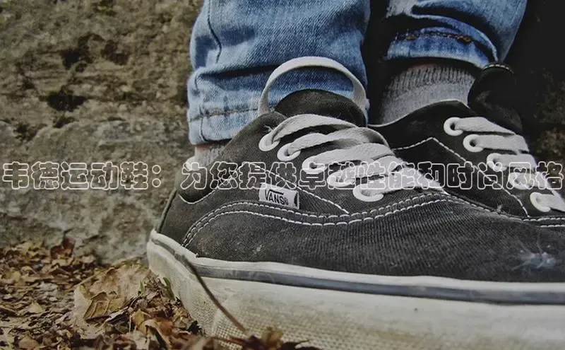 意昂体育注册雷柏科技韦德运动鞋：为您提供卓越性能和时尚风格