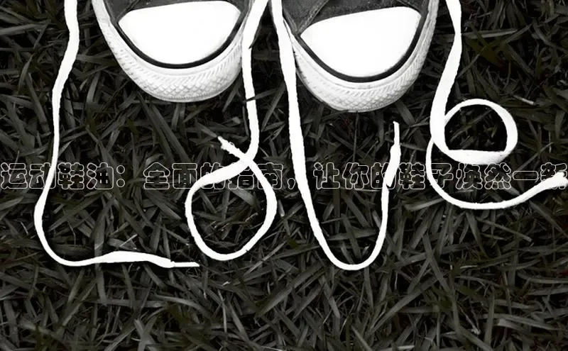 意昂意昂体育入口百度学术运动鞋油：全面的指南，让你的鞋子焕然一新