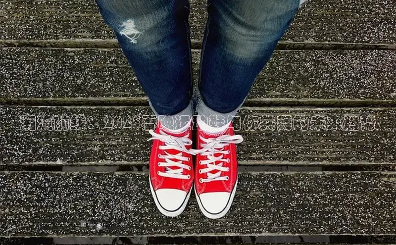 意昂体育乐用176五八27从百度手机输入法潮流前线：2025春晚运动鞋与你共舞的未来趋势
