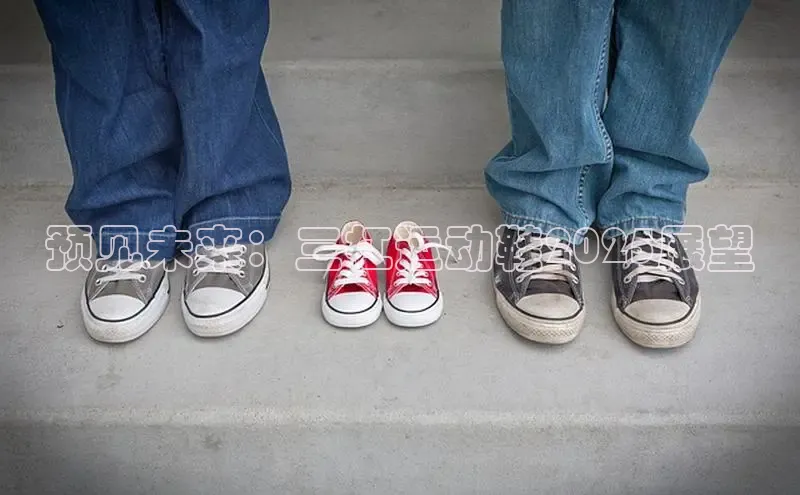 意昂体育p网页版登录入口百度营销中心预见未来：三杠运动鞋2025展望