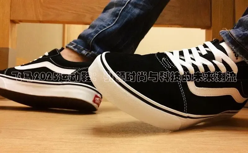 飞马2025运动鞋：引领时尚与科技的未来潮流