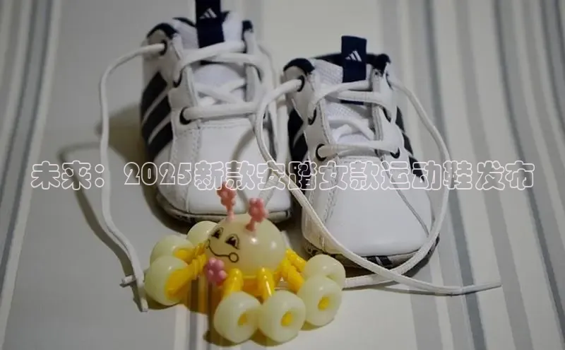 未来：2025新款安踏女款运动鞋发布