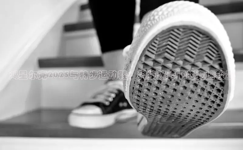 鸿星尔克2025与特步运动鞋：科技趋势下的竞速较量