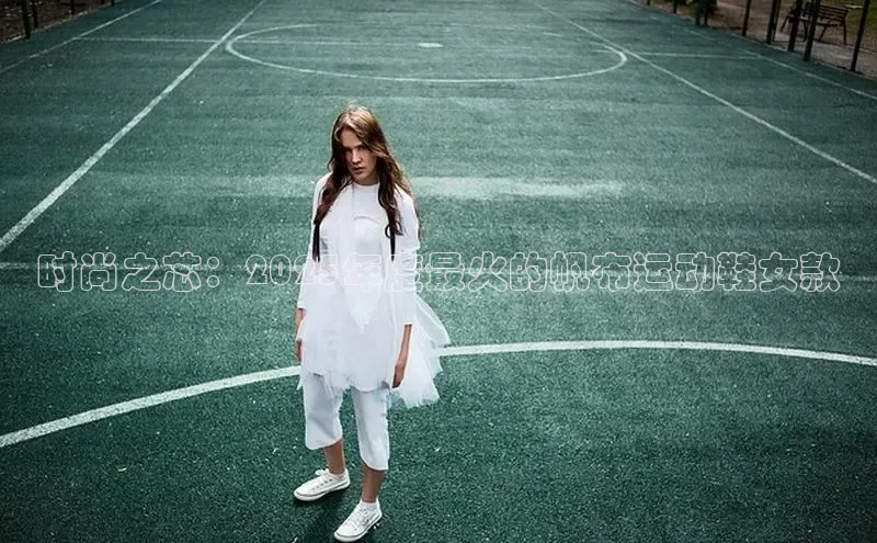 时尚之芯：2025年度最火的帆布运动鞋女款